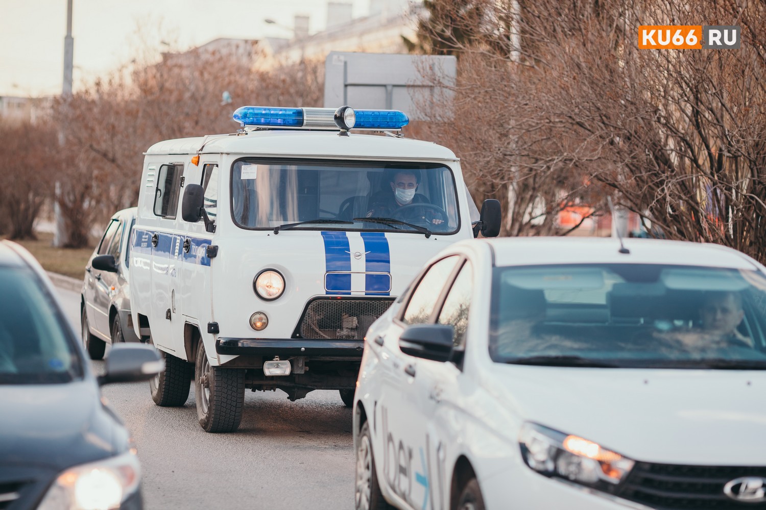 Новый рекорд: в Свердловской области коронавирус подтвердили еще у 85 заболевших. Каменска-Уральского и района в сводке нет