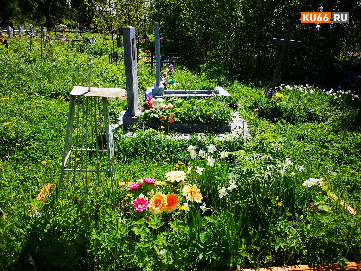 Стоит ли идти в родительский день на кладбище? Власти Каменска-Уральского напоминают о тревожной ситуации с пиком активности клещей