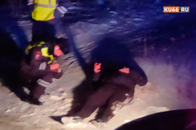 Пьяный мужчина, с травмами, как после ДТП, обнаружен вечером в Каменске-Уральском на ул. Героев Отечества. Следователи разбираются...