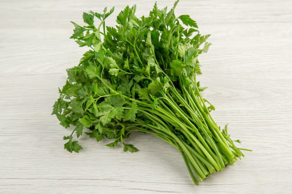 Доставили свежесть: полтонны зелени из Армении завезли в Свердловскую область | В Свердловскую область ввезли 537 кг зелени из Армении — карантин пройден успешно Доставили свежесть: полтонны зелени из Армении завезли в Свердловскую область | В Свердловскую область ввезли 537 кг зелени из Армении — карантин пройден успешно