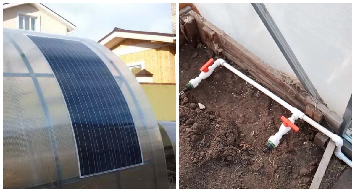 Полив водой из скважины — ошибка: показываю систему подогрева воды для теплицы, чтобы корни не замёрзли