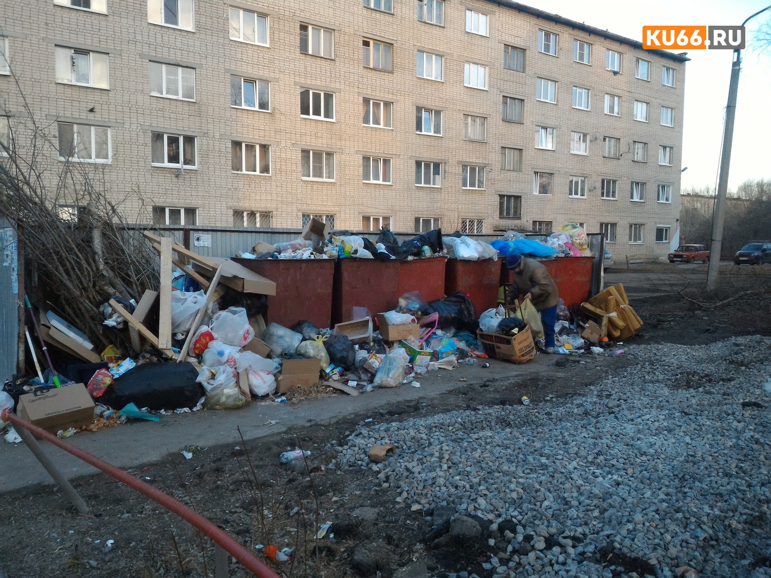 В Каменске-Уральском рухнувшее дерево перекрыло дорогу мусоровозам. Чиновники предложили жителям самим разобраться с ситуацией...