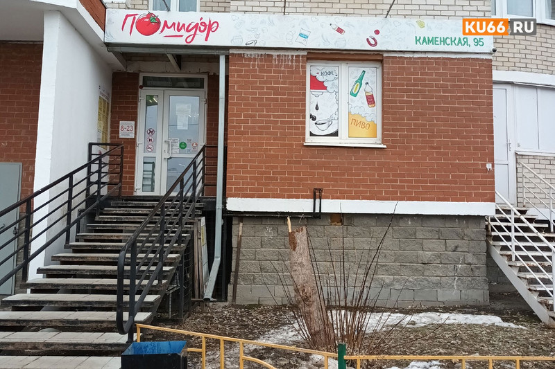 Возле магазина «Помидор» неизвестные спилили рябину