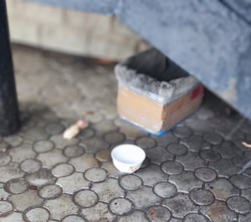 В Каменске-Уральском сотрудники одного из зоомагазинов обнаружили ужасающую находку – отрезанные собачьи лапы