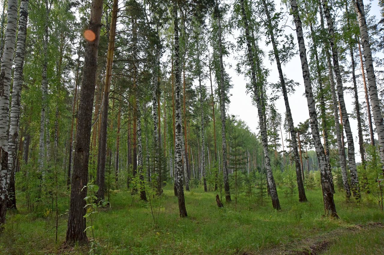 Туристам разрешили гулять по природным паркам без сопровождения