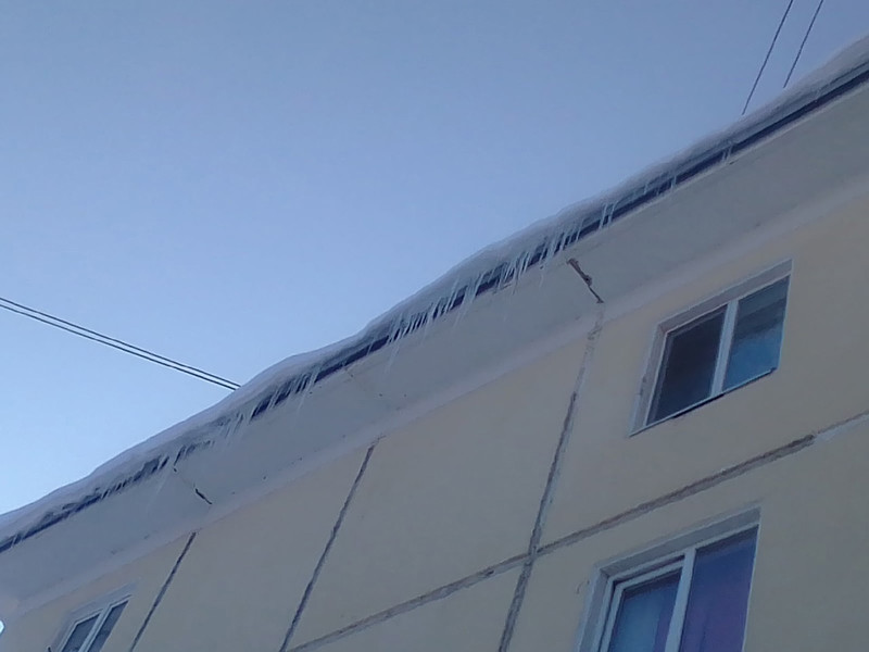 Пресс-секретарь мэрии призвала каменцев относиться к городу бережно, а не потребительски Пресс-секретарь мэрии призвала каменцев относиться к городу бережно, а не потребительски