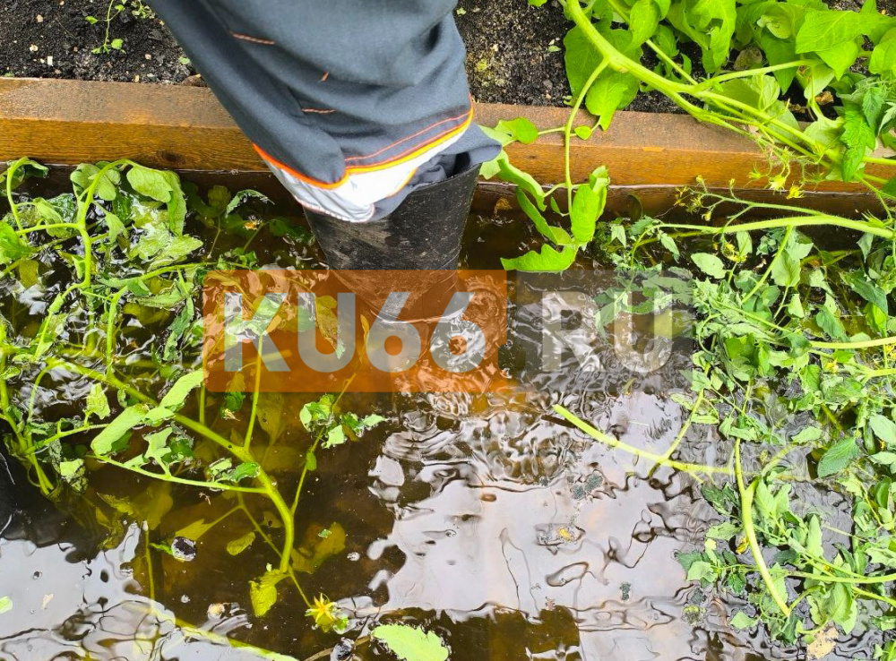 Житель Каменска-Уральского пожаловался на застройщика, который топит частный сектор. Видео | В Каменске-Уральском застройщик подтопил частный сектор