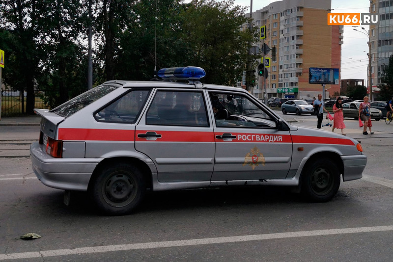 В Госдуме предложили внедрить образ росгвардейцев в видеоигры