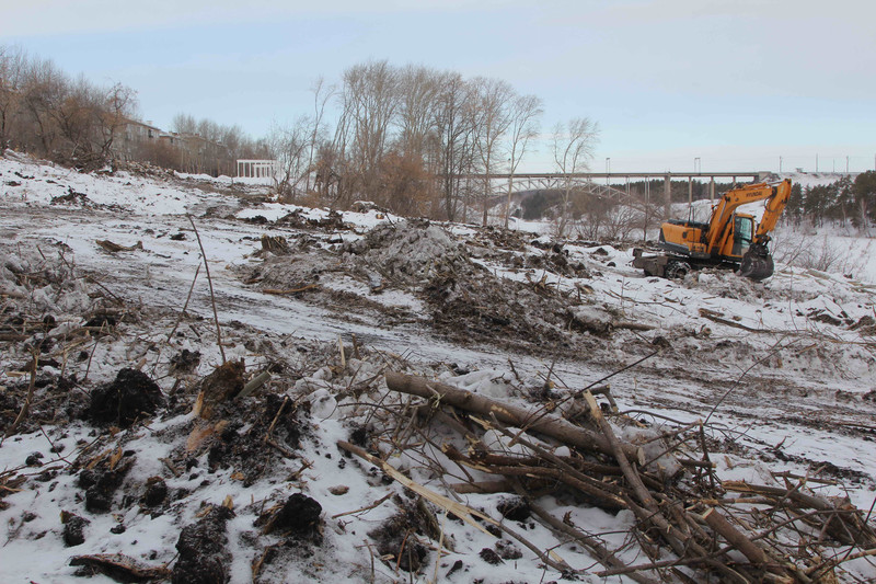 Убирают деревья, выкорчевывают пни, скоро будут формировать рельеф: рассказываем, какие работы проводятся на ул. Набережная в Каменске
