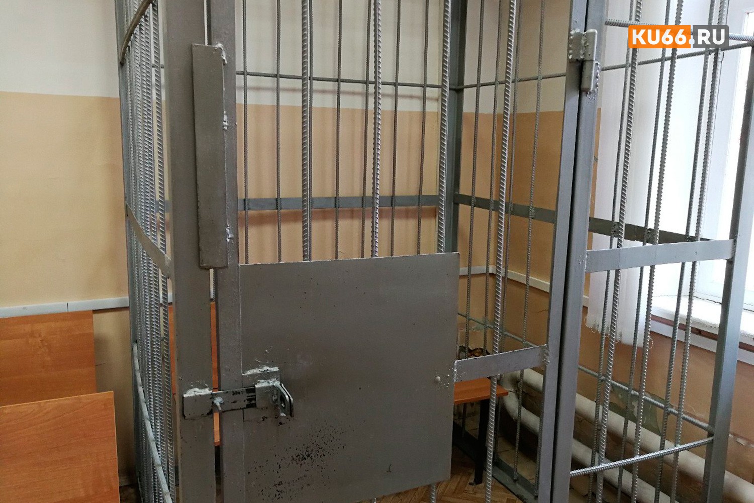 Задержан подозреваемый по делу об отравлении детей в Пензенской области