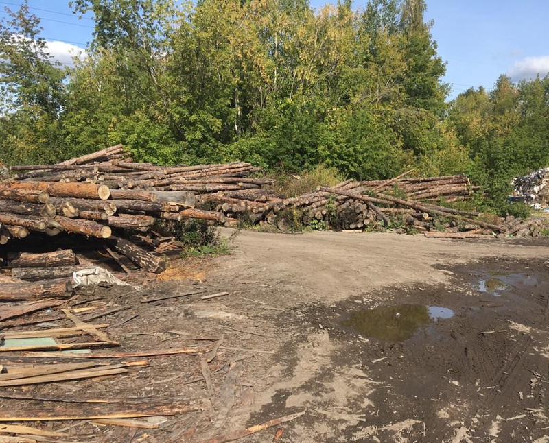 Шерстили пилорамы, тормозили лесовозы: полиция в Каменске-Уральском проверяла, как валят деревья и все ли по закону. Изъяли 70 кубов сосны