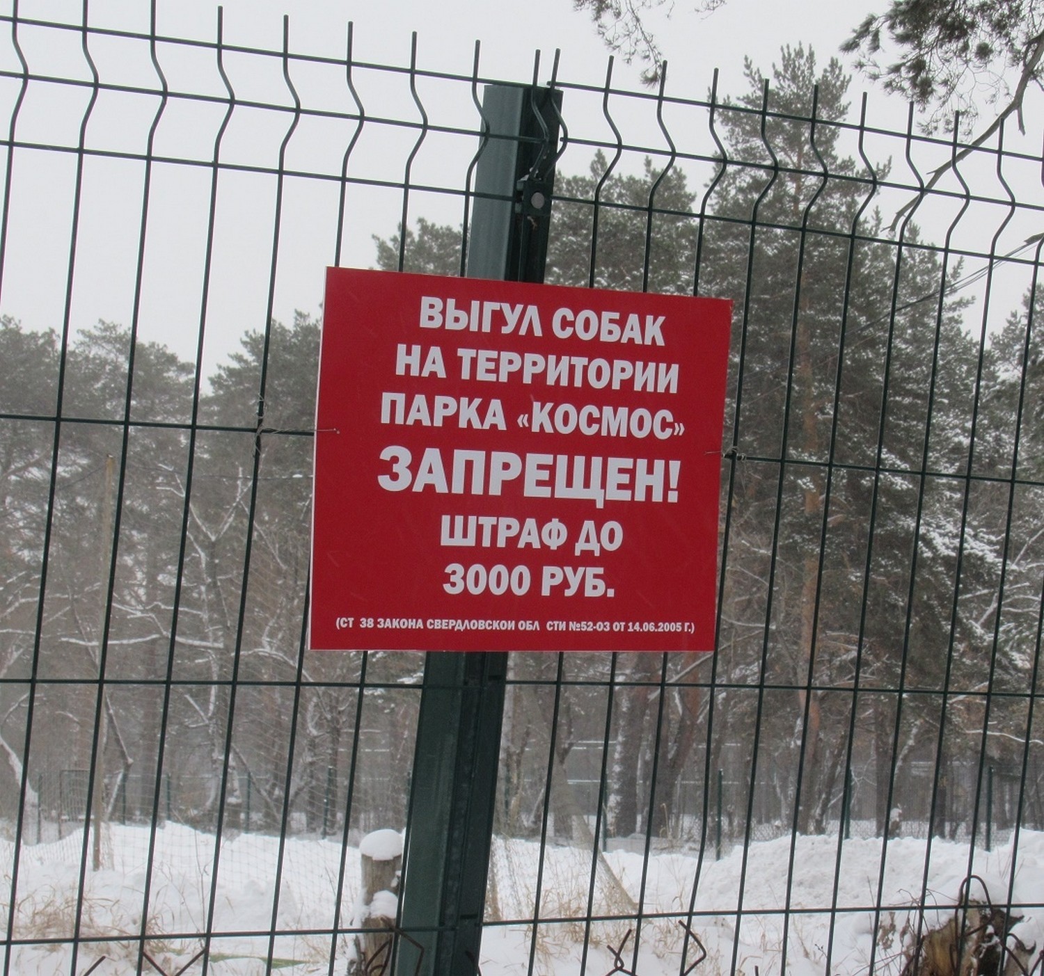 На территории парка «Космос» в Каменске-Уральском официально запретили выгуливать собак. Нарушителям грозит до 3 тысяч рублей штрафа