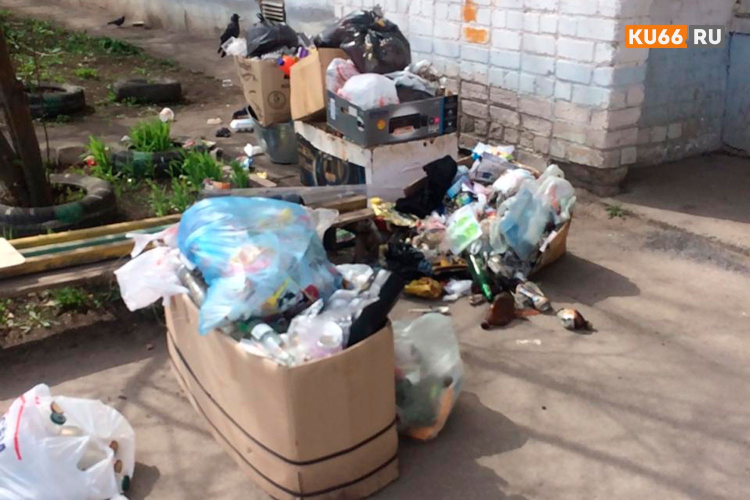 Жители свалили кучи мусора прямо у подъезда дома по ул. Суворова в Каменске-Уральском. Житель мрачно шутит: «Мусорная реформа в действии»