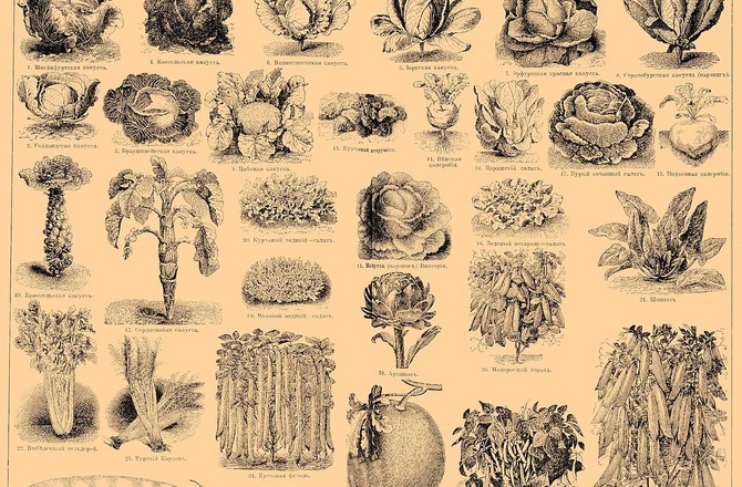 Родители-веганы уморили голодом своего полуторагодовалого ребенка