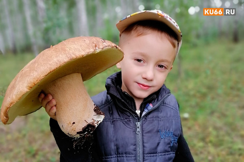 Оцените улов счастливца! Житель Каменска-Уральского принес из леса белый гриб весом 1351 грамм — тот идеально чистый, без червей