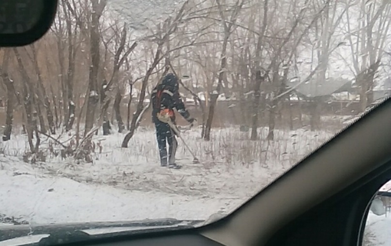 Нереальная картина: во время снегопада на ул. Ленинградской в Каменске-Уральском мужчина с триммером в руках косил траву на газоне в сугробе