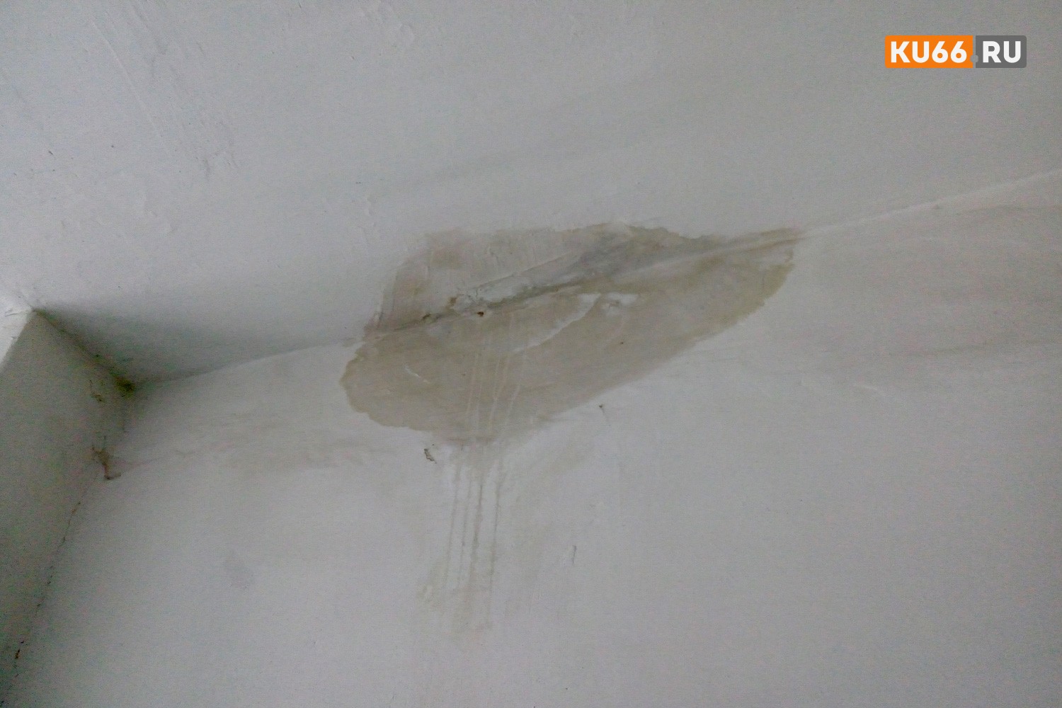 В России приняли закон об ужесточении требований к управляющим компаниям: что это значит В России приняли закон об ужесточении требований к управляющим компаниям: что это значит