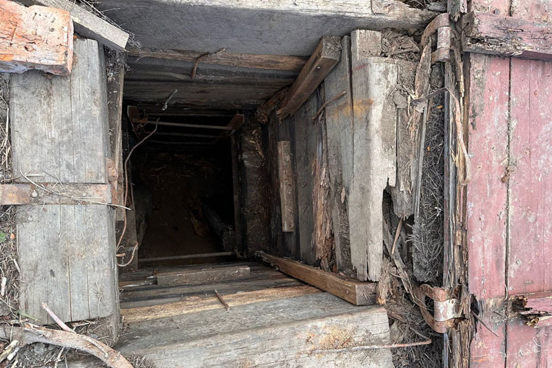 В Каменске-Уральском двух братьев вытащили мёртвыми из овощной ямы | На Урале в овощной яме погибли двое мужчин