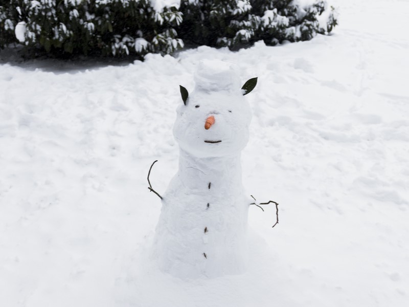 В Екатеринбурге снова лепят снежные «членовики» — власти готовы к борьбе | Власти Екатеринбурга распорядились сносить снежные фаллосы