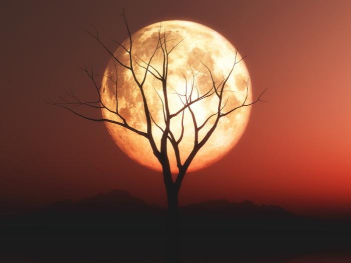 Свердловская область увидит «кровавую Луну»: полное затмение станет главным шоу 7 сентября | Жители Свердловской области смогут наблюдать все фазы полного лунного затмения 7 сентября Свердловская область увидит «кровавую Луну»: полное затмение станет главным шоу 7 сентября | Жители Свердловской области смогут наблюдать все фазы полного лунного затмения 7 сентября