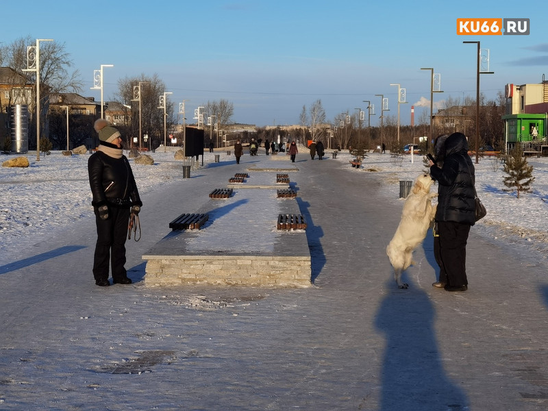 Из-за случая, каких много - игривая собака на бульваре прыгнула на ребенка и на его маму, - жители города разделились на два лагеря