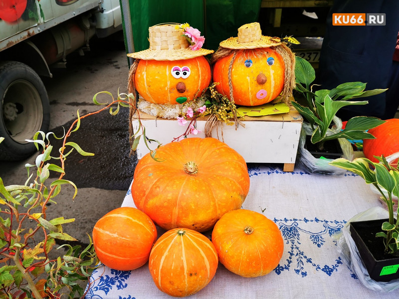 На ярмарку «Дары осени» в Каменск-Уральский привезли свои продукты бизнесмены из Алтая, Волгограда и даже Абхазии. Было дороговато