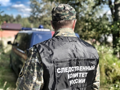 Подросток в Хабаровском крае домогался и насиловал детей: СК проводит проверку