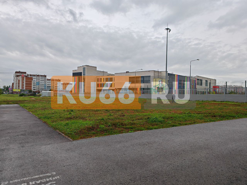 Каменцы сами решили проблемы с газоном, не дождавшись действий от властей, УК «Вертикаль Плюс» и УГХ | Жители Каменска-Уральского самостоятельно собрали деньги на покос травы