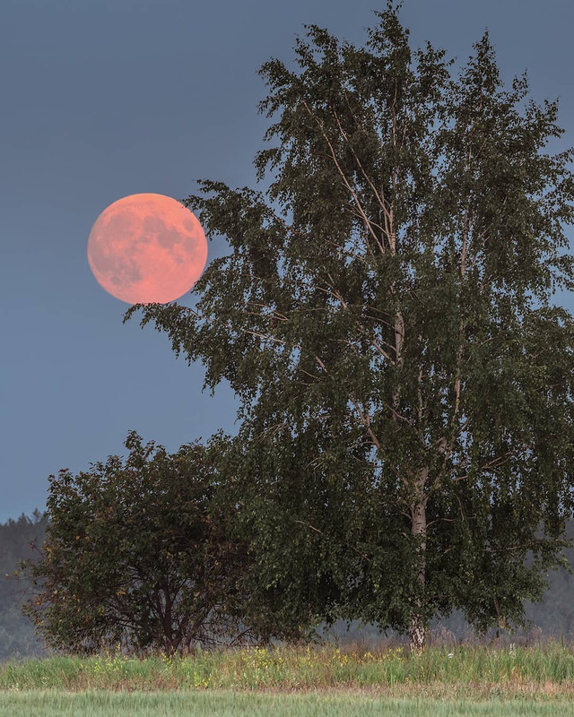 Каменцы наблюдали яркую луну с красным оттенком и активно делились друг с другом снимками. Выглядит, действительно, очень впечатляюще! Каменцы наблюдали яркую луну с красным оттенком и активно делились друг с другом снимками. Выглядит, действительно, очень впечатляюще!