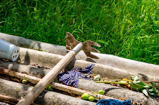 Российским дачникам напомнили о «штрафе за деревья»