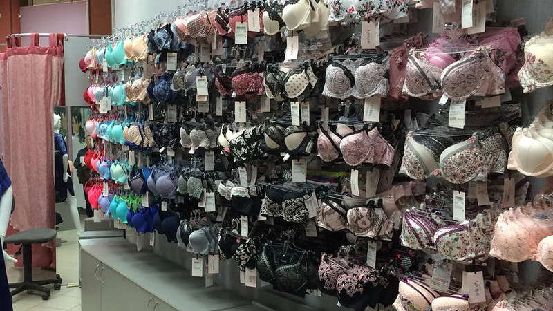 Родители в Ульяновске потребовали уволить учительницу за покупку белья