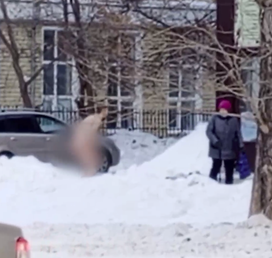 Мужчина в неадекватном состоянии "закалялся" голым на улице в Екатеринбурге Мужчина в неадекватном состоянии "закалялся" голым на улице в Екатеринбурге