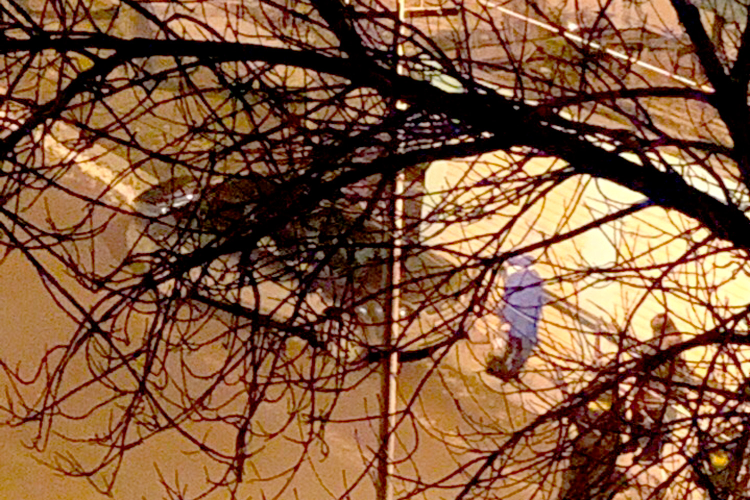 Необычные ДТП в Каменске-Уральском: водитель ВАЗа устроил аварию на ровном месте, а девушка на Ford влетела в цветочный киоск...