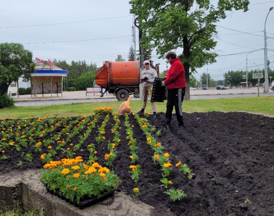 В Каменске-Уральском начался цветочный сезон | В уральском городе стартовал цветочный сезон