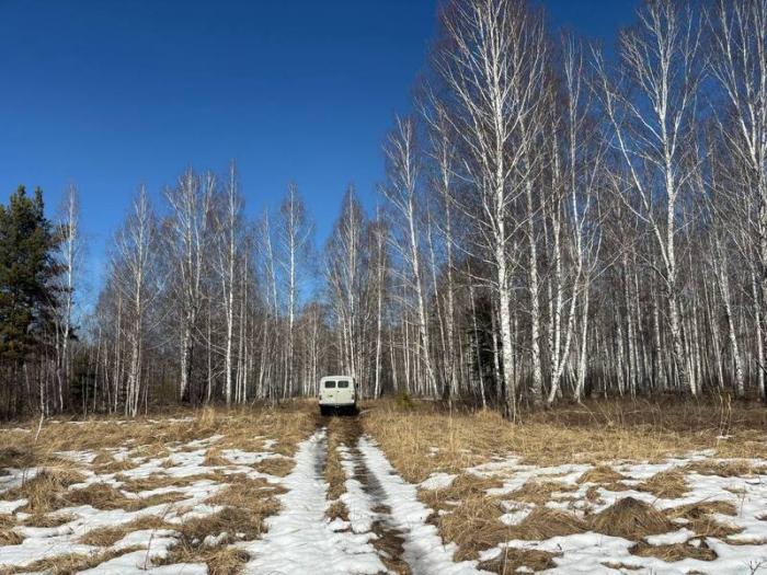 Лесоохрана обнаружила свалку за Волковской плотиной в Каменске-Уральском | В Каменске-Уральском обнаружили несанкционированную свалку
