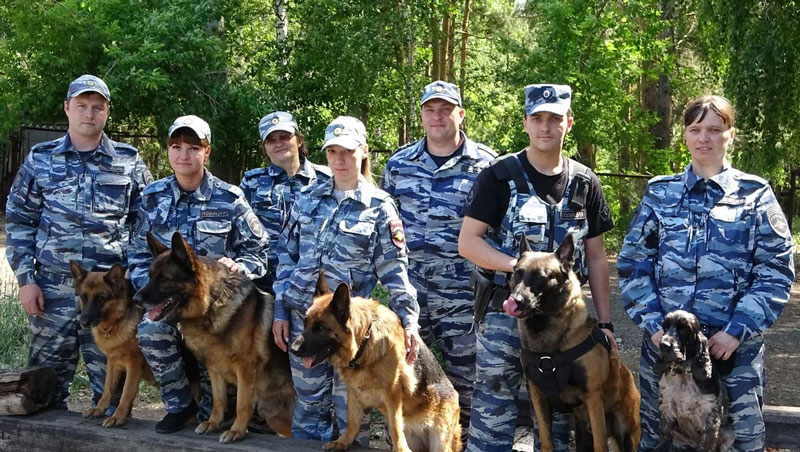 Полицейские-кинологи в Каменске-Уральском отмечают профессиональный праздник Полицейские-кинологи в Каменске-Уральском отмечают профессиональный праздник