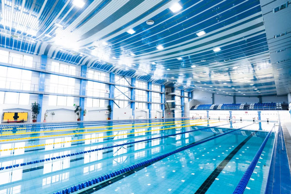 От отжиманий к кролю: как изменится школьная физкультура с введением плавания - польза, планы и сложности | Плавание в расписании: как изменится урок физкультуры в российских школах?