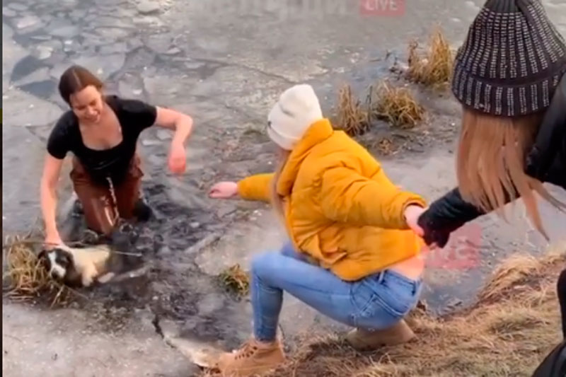 Мать троих детей из Мытищ прыгнула в ледяной пруд, чтобы спасти собаку Мать троих детей из Мытищ прыгнула в ледяной пруд, чтобы спасти собаку