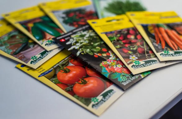 Запрещённые семена продавали на маркетплейсе в Свердловской области: Россельхознадзор вмешался | В Свердловской области выявлена продажа семян, не включённых в Госреестр