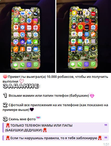 скриншот для материала про мошенничество в роблокс (в другие материалы не ставить)