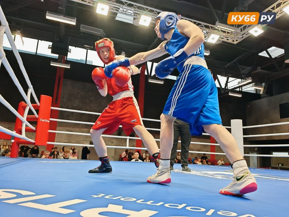 В Каменске-Уральском стартовал турнир по боксу памяти Героя России Дубынина