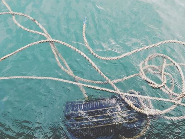 На Красном море произошла телекоммуникационная катастрофа