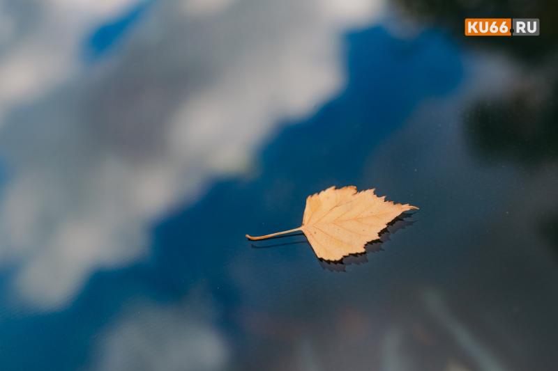 Осень в стихах: в Каменске-Уральском пройдёт литературно-музыкальная гостиная «Осенняя живопись»